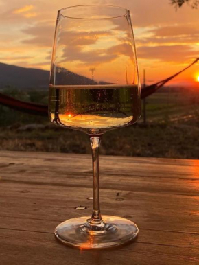 When in Maremma